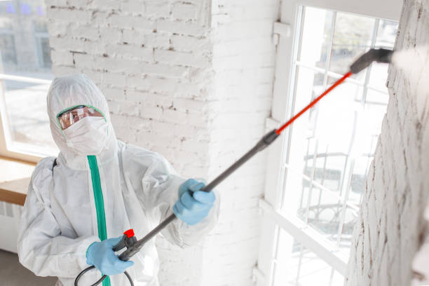 Best Emergency Mold Remediation  in Leonardo, NJ