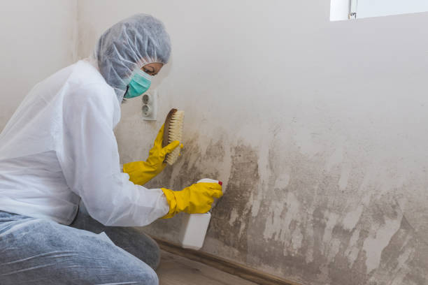 Best Residential Mold Inspection & Testing  in Leonardo, NJ