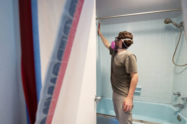 Mold Odor Removal Services in Leonardo, NJ