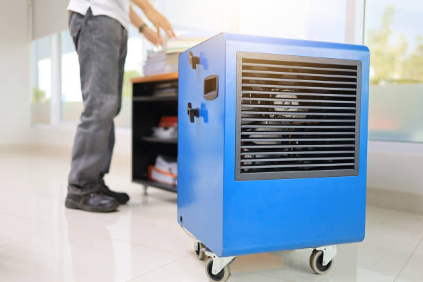 Best Mold Prevention Services  in Leonardo, NJ