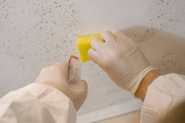 Best Dehumidification Services  in Leonardo, NJ