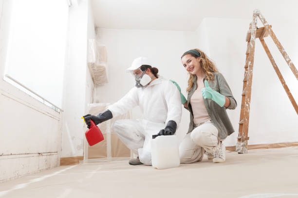 Best Black Mold Removal  in Leonardo, NJ