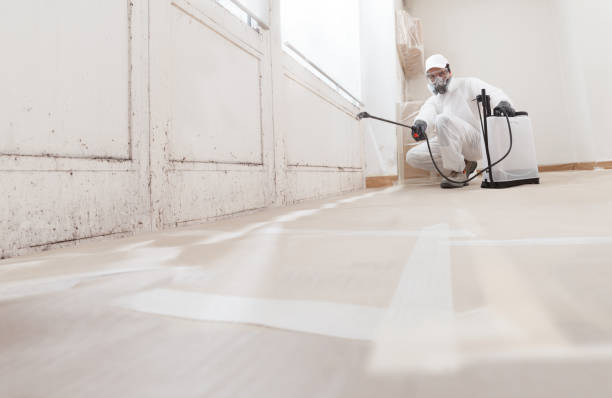 Best Biohazard Mold Removal  in Leonardo, NJ